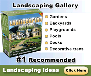 Landscaping 4 Home